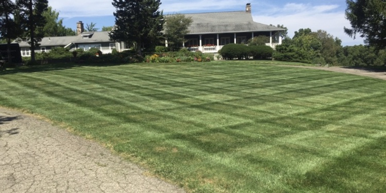 Mowing And Lawn Services